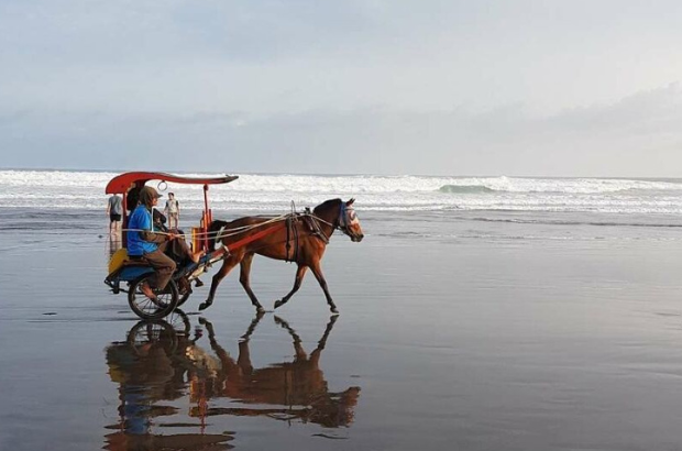 Naik Andong Pantai Parangtritis