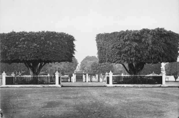 Alun-Alun Kidul Yogyakarta Zaman Dulu