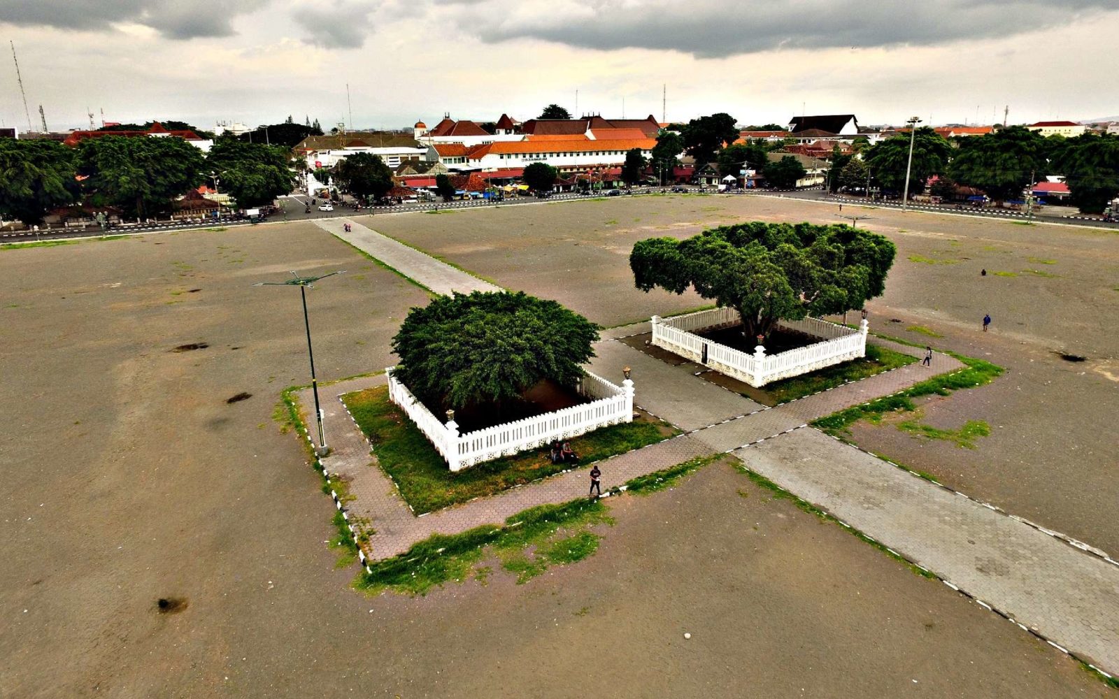 Pohon Beringin di Keraton Yogyakarta