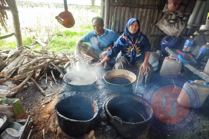 Pembuatan Gula Jawa Asli dari Desa Triwidadi Bantul