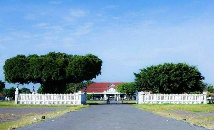 Pohon Beringin di Alun Alun Utara Yogyakarta