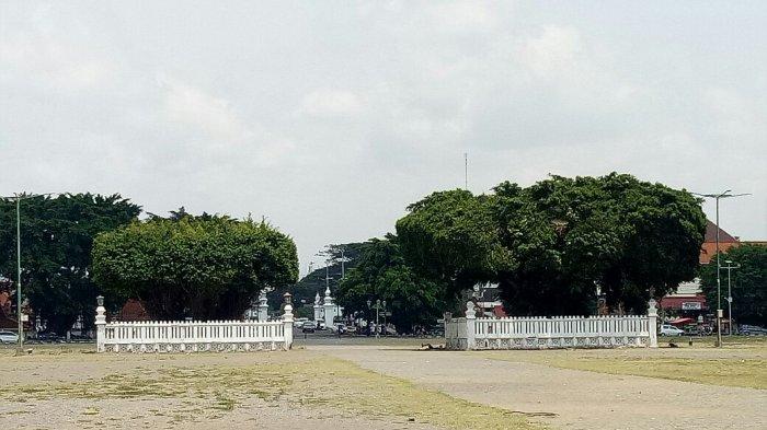 Sejarah dan Makna Pohon Beringin di Keraton Yogyakarta