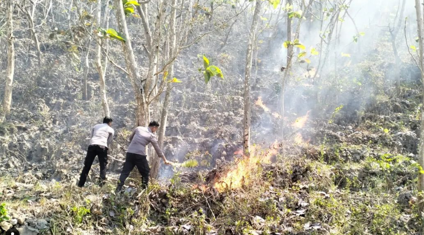 Hutan Lindung Sodong Milik Suaka Margasatwa Paliyan Gunungkidul Terbakar