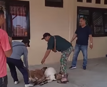 Dua Pelaku Pencurian Kambing di Gunungkidul Babak Belur Dihajar Warga