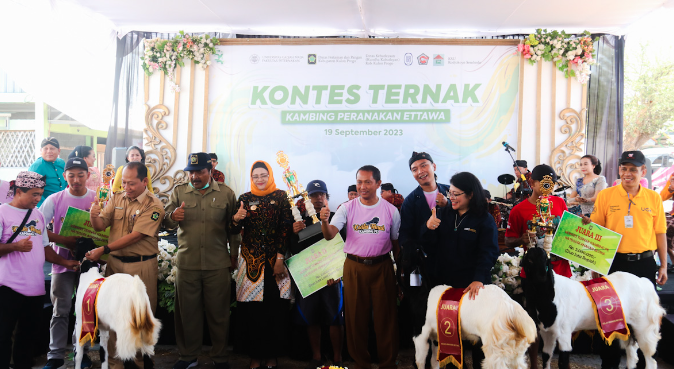 Pemkab Kulonprogo Gelar Kontes Kambing Peranakan Etawa