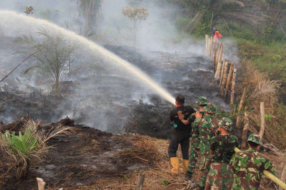 kebakaran gunung sumbing sudah padam