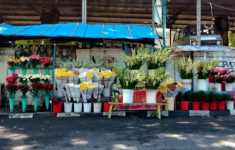 Toko Bunga Nanda Florist