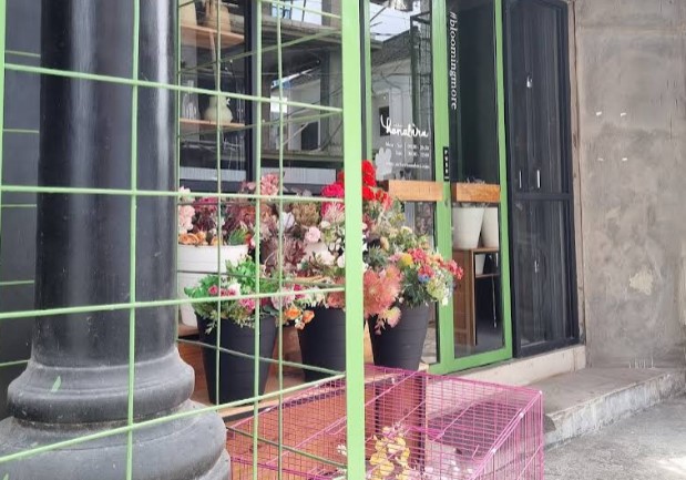 7 Tempat Jual Bunga di Jogja yang Segar dan Menarik: Lengkap dengan Harga dan Lokasi! 3 Hanabira Florist