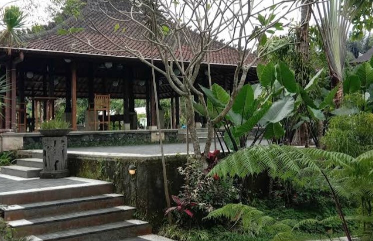 7 Hotel Pet Friendly di Jogja Murah, Lokasi, dan Fasilitasnya! 3 Omah Pakem