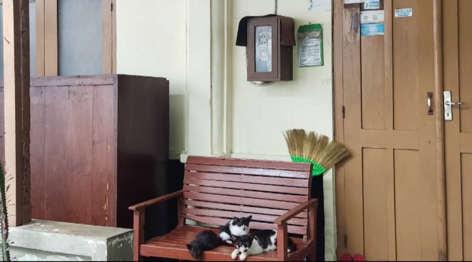 9 Kost Harian Jogja Murah Fasilitas Lengkap, Cocok untuk Backpacker 3 kost harian jogja murah