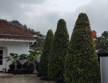 Villa kaliurang jogja