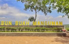 Kebun Buah Mangunan