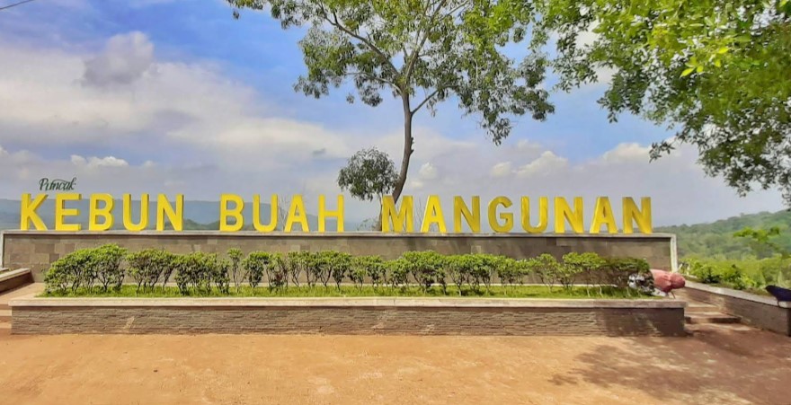 7 Wisata Alam di Jogja yang Menarik Lengkap dengan Biaya Masuk dan Lokasinya 3 Kebun Buah Mangunan