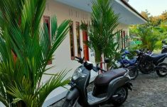 Kost Djuragan Kamar Palem Merah