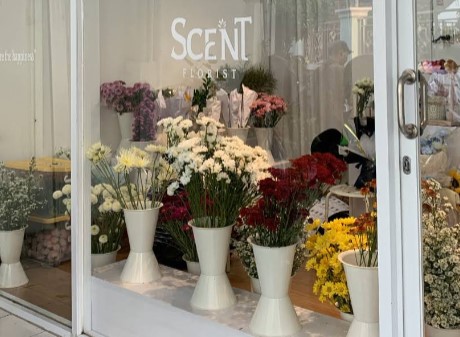 7 Tempat Jual Bunga di Jogja yang Segar dan Menarik: Lengkap dengan Harga dan Lokasi! 8 Scent Florist