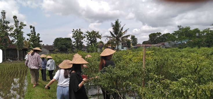 7 Desa Wisata Jogja Sejuk dan Asri, Bisa Mampir Saat Libur Panjang 5 Desa wisata Jogja