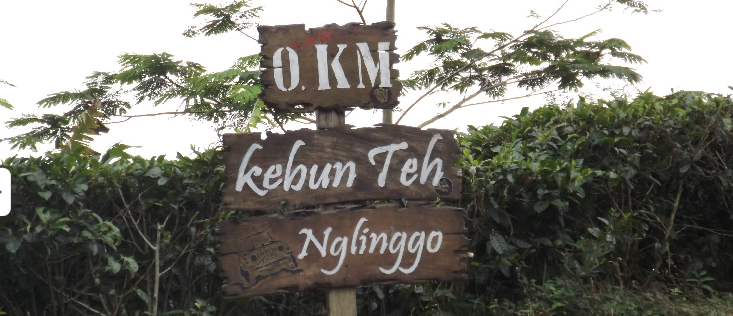 7 Desa Wisata Jogja Sejuk dan Asri, Bisa Mampir Saat Libur Panjang 3 Desa wisata Jogja