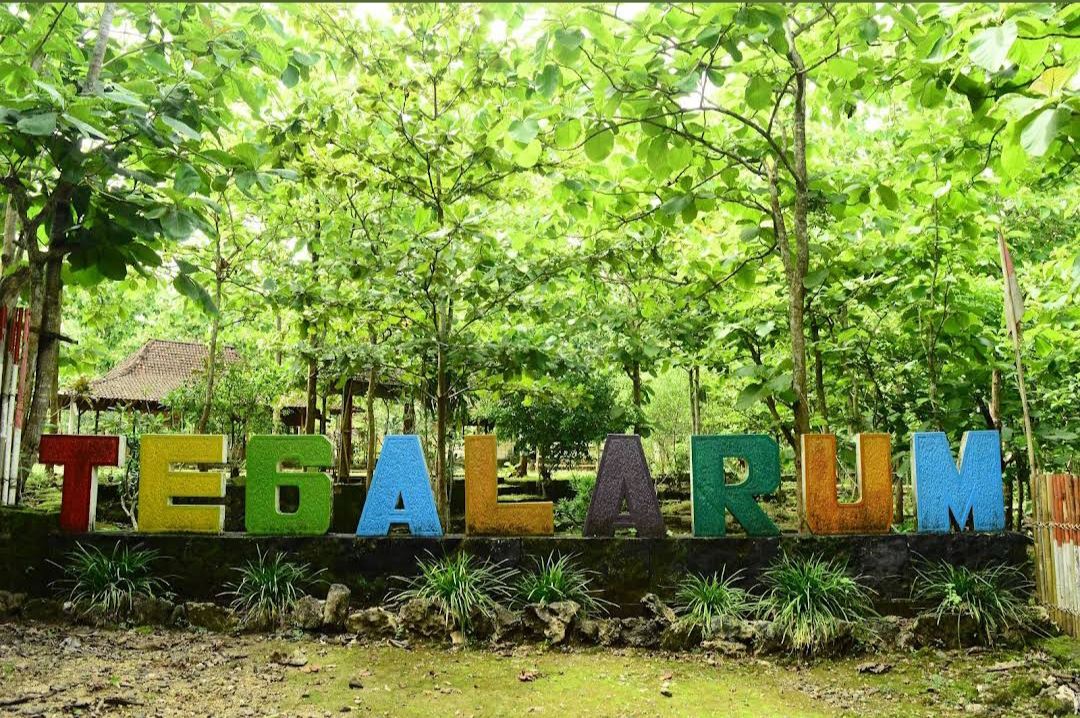 9 Tempat Outbound Jogja Paling Favorit, Fasilitas Lengkap dan Harga Terjangkau 5 Tempat Outbound Jogja