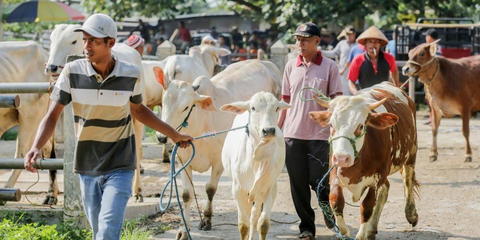 Wajib SKKH Jelang Idul Adha