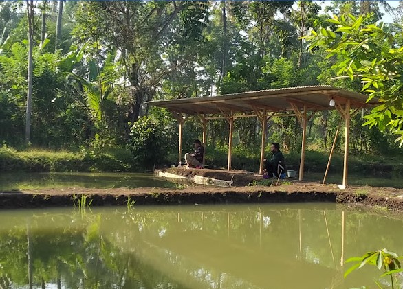 8 Tempat Pemancingan di Gunungkidul yang Asyik, Cocok untuk Aktivitas Luang! 2 Kolam Pemancingan Harian