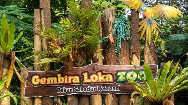 7 Tempat Wisata Ramah Keluarga di Jogja Cocok untuk Liburan Sekolah dan Biaya Masuk Terjangkau! 3 Kebun Binatang Gembira Loka Zoo