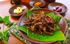 Walang Goreng (belalang goreng berbumbu)