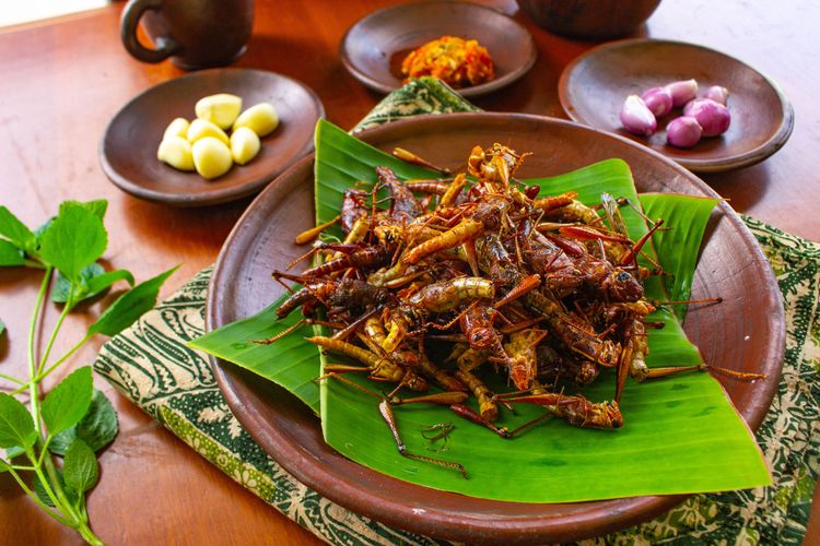 Walang Goreng (belalang goreng berbumbu)