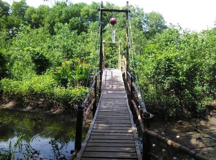 8 Tempat Wisata Alam Murah di Kulonprogo, yang Menawarkan Pemandangan Indah untuk Mengisi Liburan Sekolah! 8 Hutan Mangrove Jangkaran
