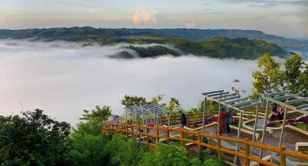 10 Wisata Alam Menarik di Jogja yang Cocok Dikunjungi Saat Liburan Sekolah, Seru dan Menyenangkan! 8 Kebun Buah Mangunan