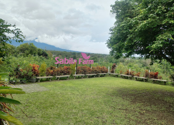 7 Tempat Wisata Edukatif Murah di Sleman untuk Menikmati Liburan Sekolah yang Asyik dan Menyenangkan! 8 Sabila Farm