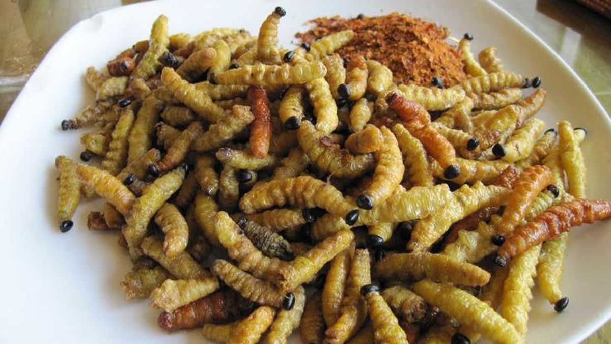 8 Tempat Beli Oleh-Oleh Khas Gunung Kidul yang Legendaris dan Bikin Kangen 8 Ungkrung Goreng (kepompong ulat jati goreng)