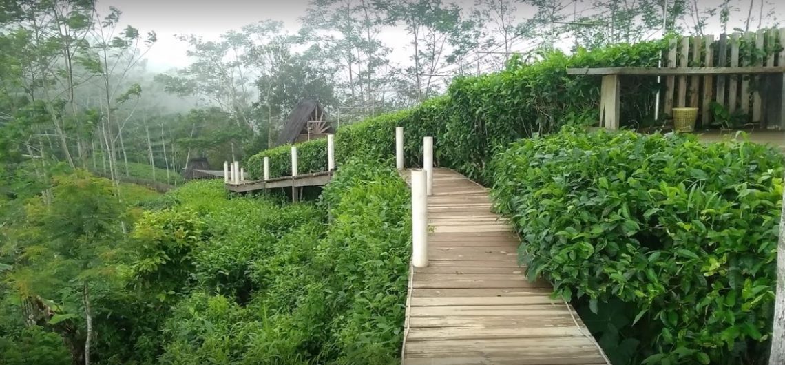 8 Tempat Wisata Alam Murah di Kulonprogo, yang Menawarkan Pemandangan Indah untuk Mengisi Liburan Sekolah! 9 Bukit Isis