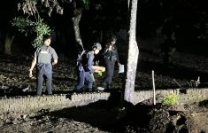 Granat di Padukuhan Tobratan RT 03, Kalurahan Wirokerten, Banguntapan Bantul