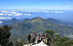 Ilustrasi pendaki di Gunung Lawu