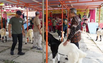 Kontes Kambing Kaligesing digelar di Lapangan Dwi Lomba, Temuwuh, Dlingo, Bantul, Minggu 22 Juni 2025.