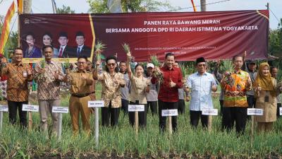 Panen raya bawang merah bersama anggota DPD RI Daerah Istimewa Yogyakarta