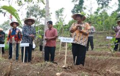 Pemerintah Kabupaten Kulon Progo terus berupaya meningkatkan kesejahteraan para petani melalui program revitalisasi sektor pertanian.