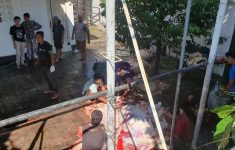 Suasana pelaksanaan potong hewan kurban di Masjid Gedhe Kauman Yogyakarta