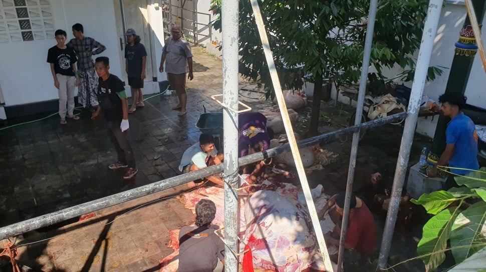 Suasana pelaksanaan potong hewan kurban di Masjid Gedhe Kauman Yogyakarta