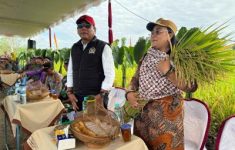 Upacara tradisi methik pari di Kalurahan Dengok, Kapanewon Playen, Kamis (19/6/2025). (source: Gunungkidul Kab)