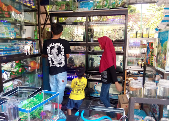 7 Tempat Beli Ikan Hias di Jogja yang Tersedia Banyak Pilihan dan Harga Terjangkau! 2 Pasty – Pasar Satwa & Tanaman Hias (Dongkelan, Bantul)