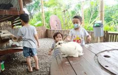 Bale Ayu Resto Soragan