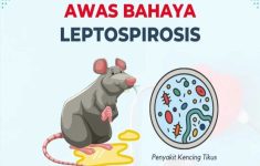 Ilustrasi Kasus Leptospirosis