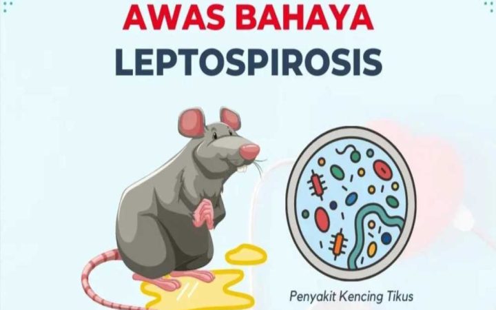Ilustrasi Kasus Leptospirosis