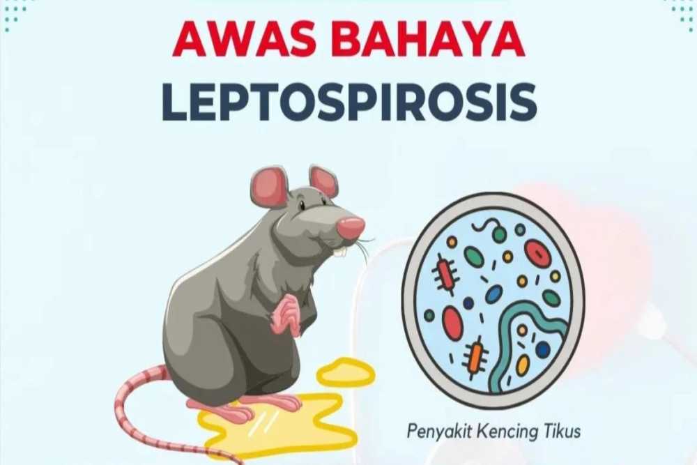 Ilustrasi Kasus Leptospirosis