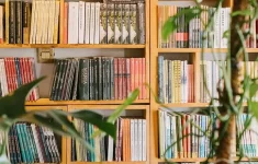 Ilustrasi Perpustakaan