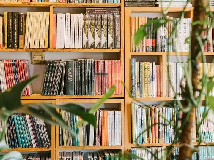 Ilustrasi Perpustakaan