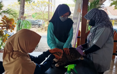 3000 Vaksin Rabies Gratis untuk Anabul Warga Jogja, Begini Cara Daftarnya