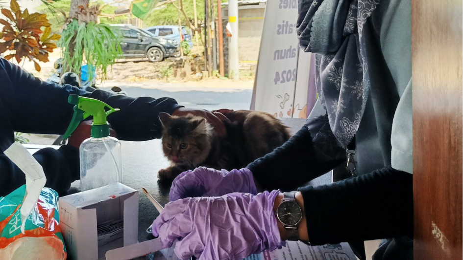 vaksinasi rabies gratis