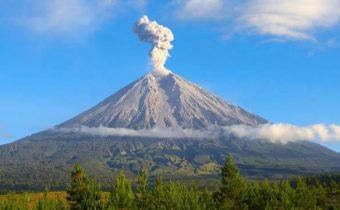 Ilustrasi gunung semeru erupsi